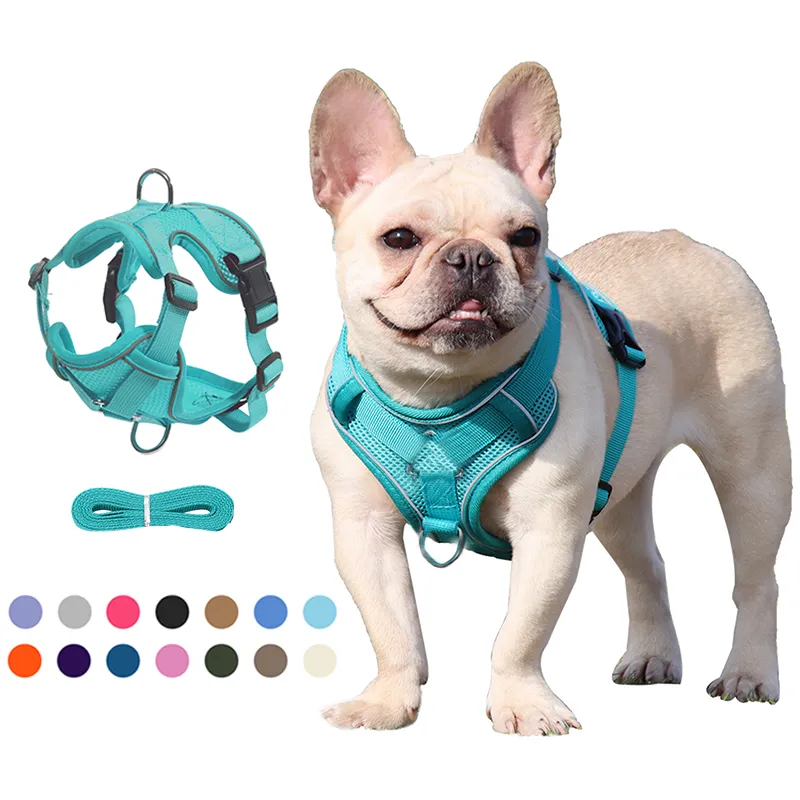 Breathable কুকুরছানা ক্যারিয়ার সেট