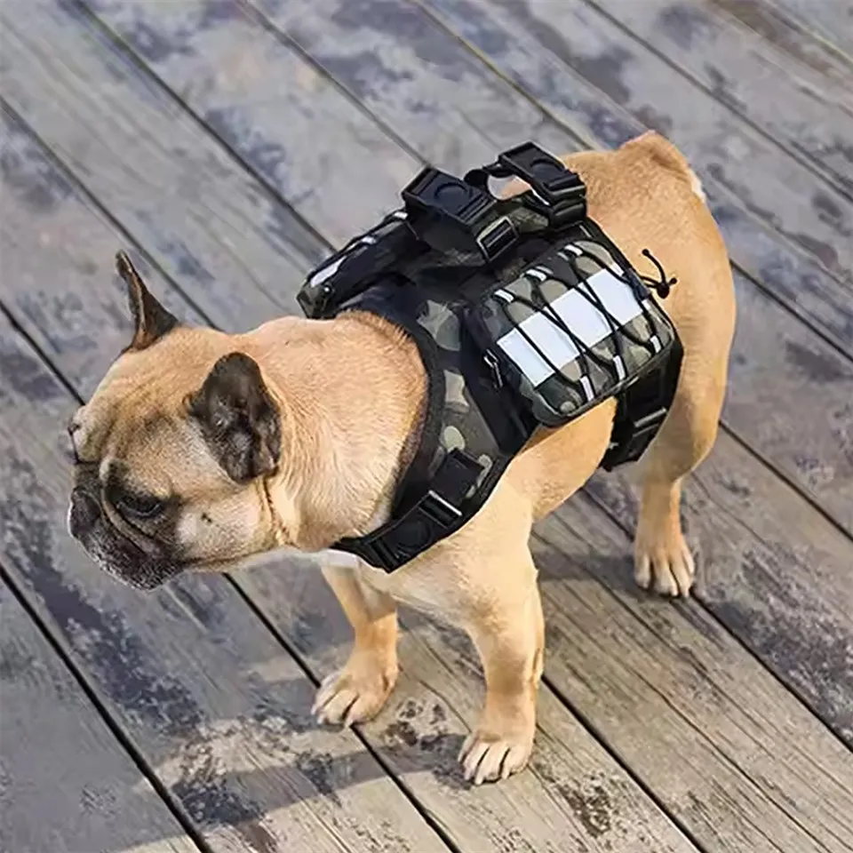 Saddlebags সঙ্গে কুকুর জোতা