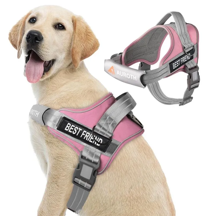 No Pull Dog Harness With Name suppliers