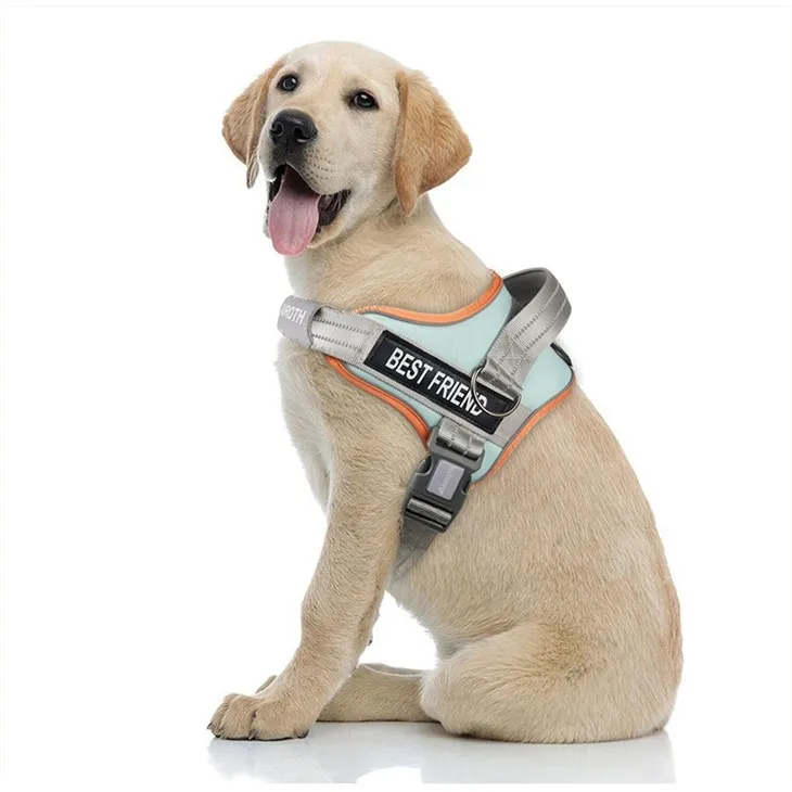 No Pull Dog Harness With Name best