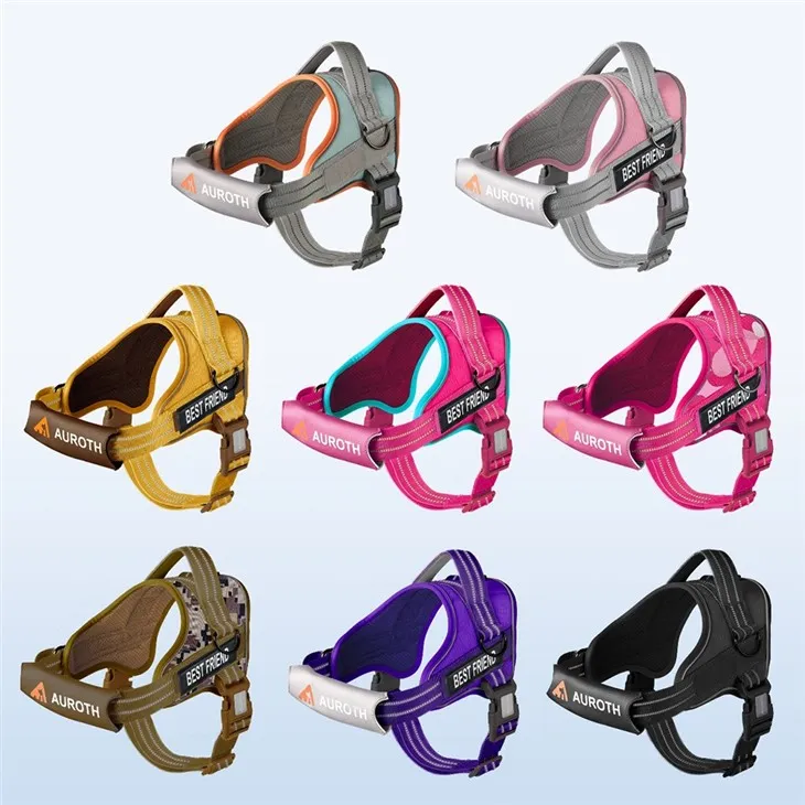 No Pull Dog Harness With Name price
