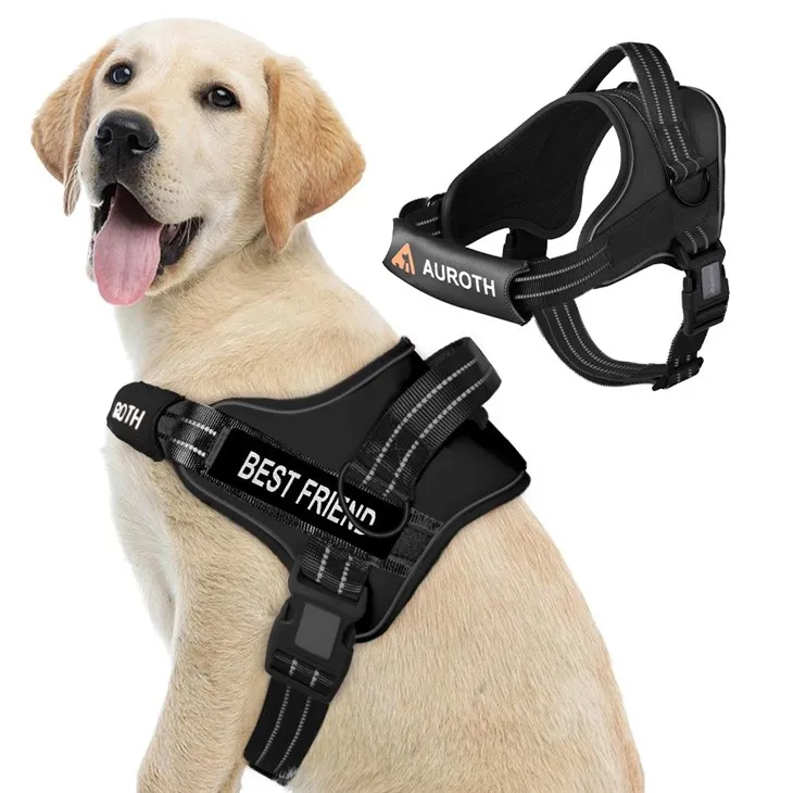 No Pull Dog Harness With Name factory