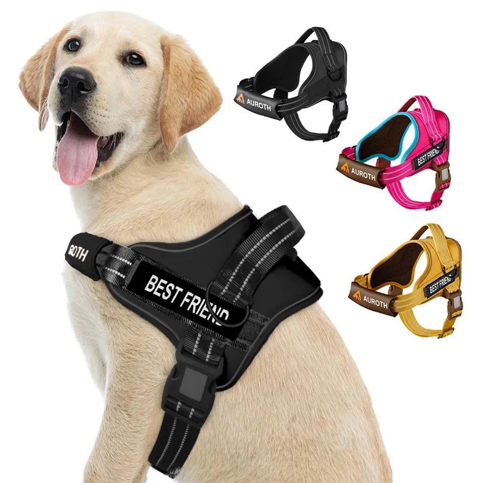 Personalised No Pull Dog Harness