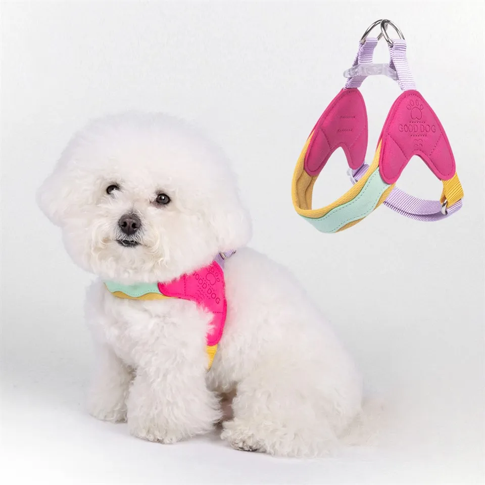 ছোট কুকুর জন্য কুকুরছানা harnesses